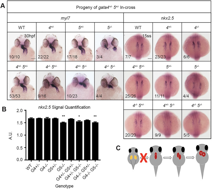 Fig. 4.