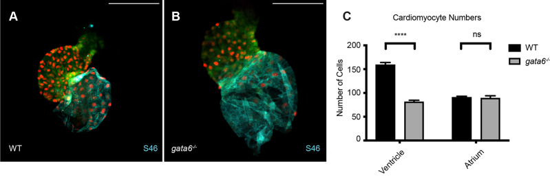 Fig. 9.