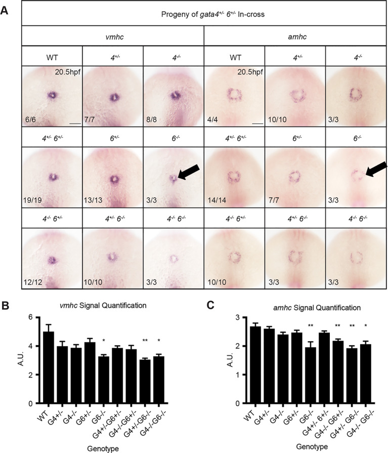 Fig. 10.