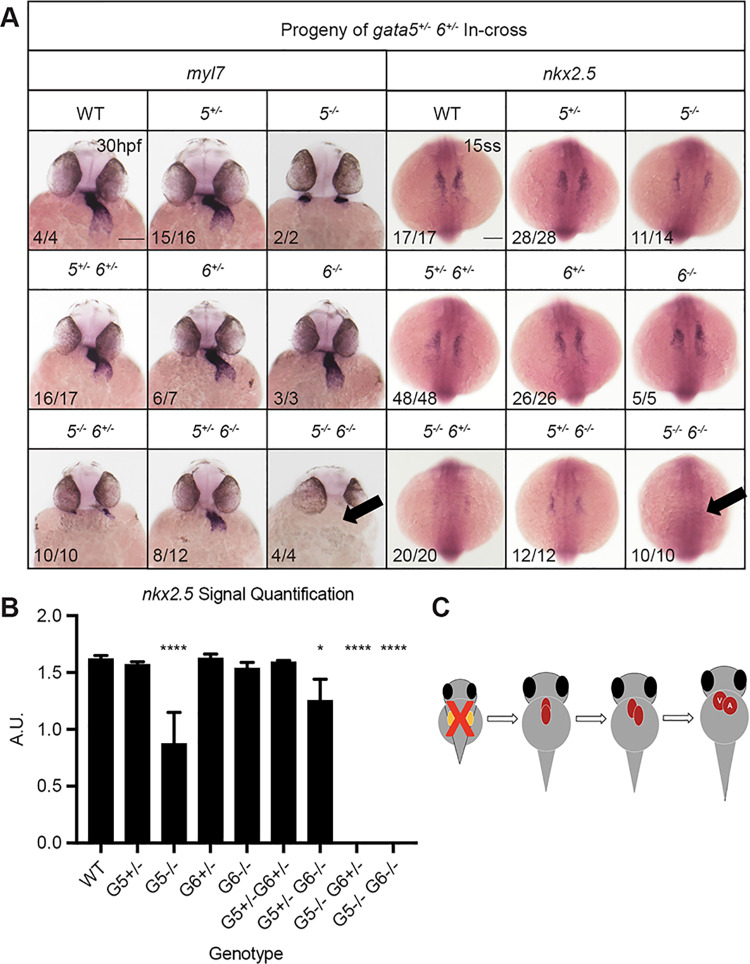 Fig. 3.