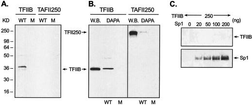 FIG. 8.