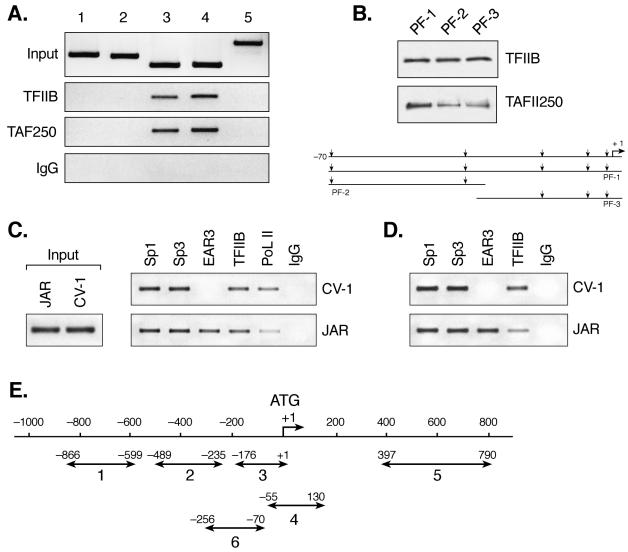 FIG. 7.