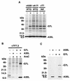 FIG. 9.