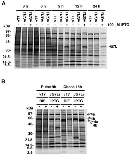 FIG. 7.