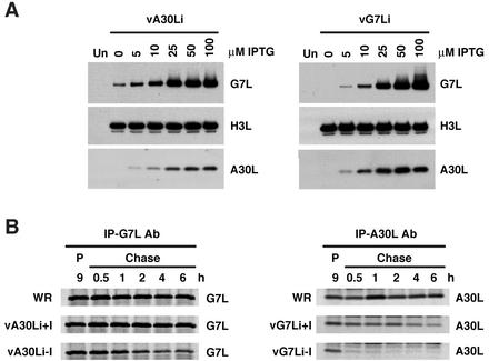 FIG. 10.