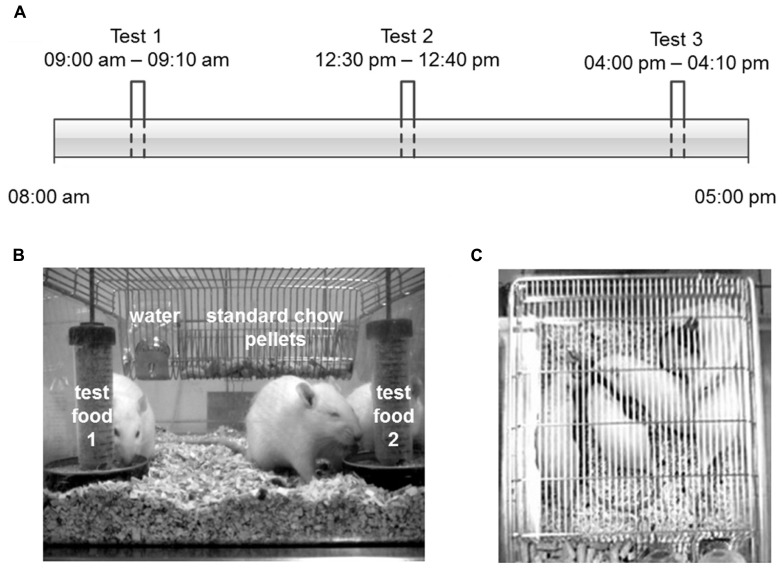 FIGURE 2