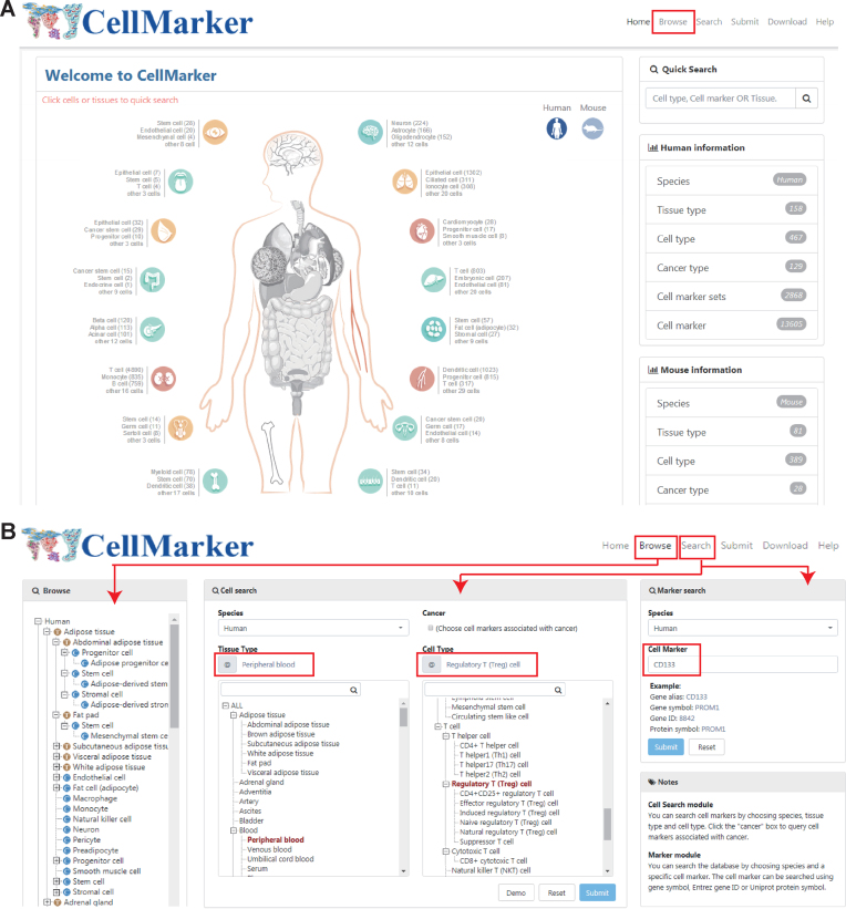 CellMarker: a manually curated resource of cell markers in human and ... Biology Diagrams