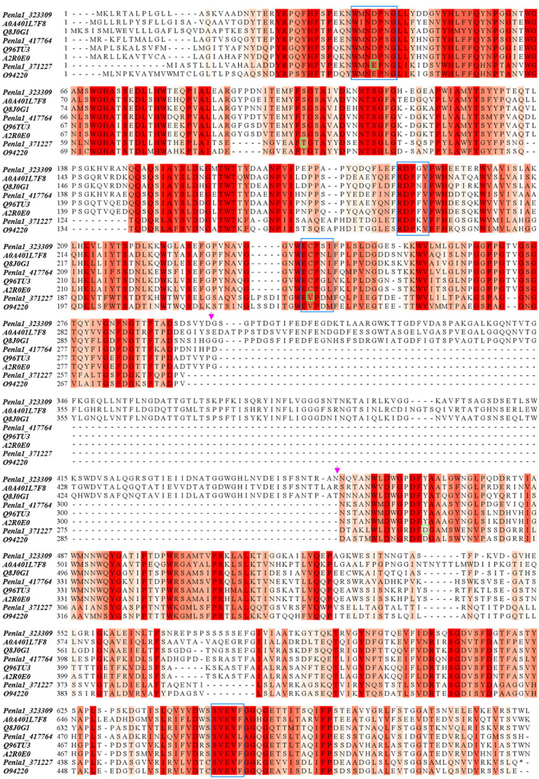 FIGURE 4