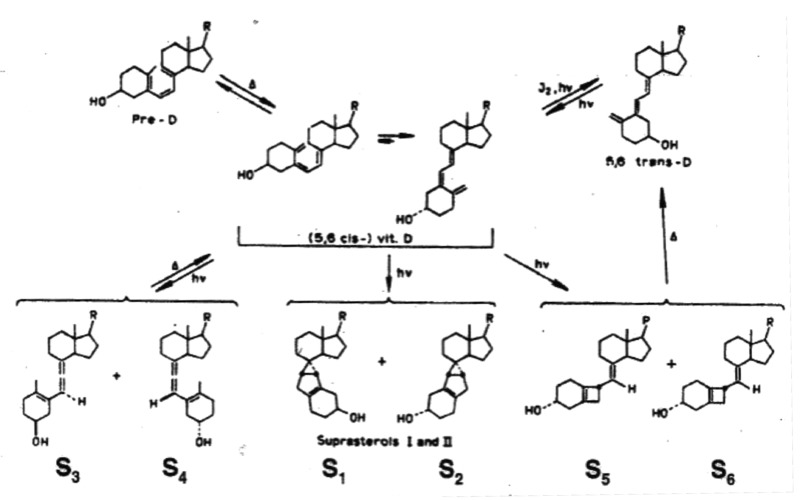 graphic file with name de-5-51-g19.jpg