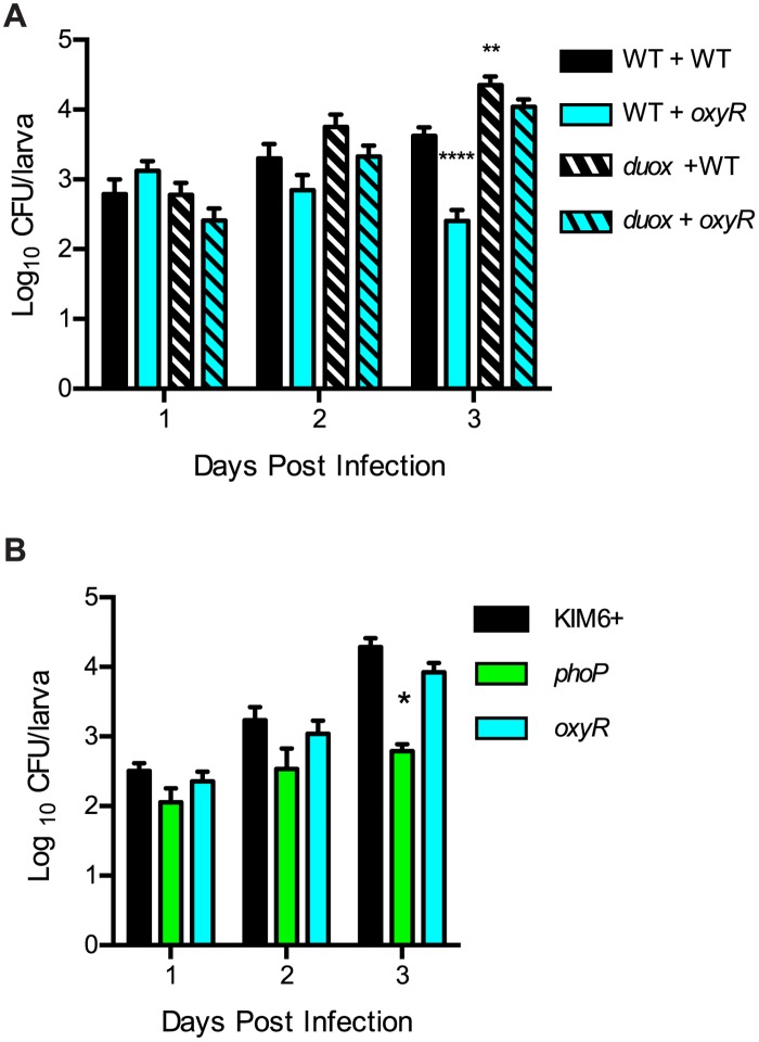 Fig 6