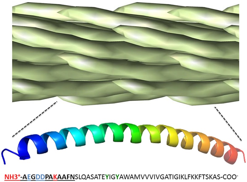 FIGURE 3