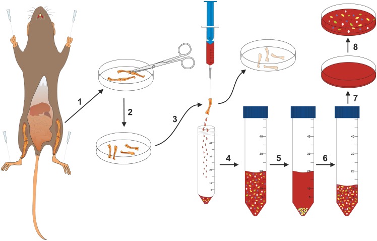 Fig 2