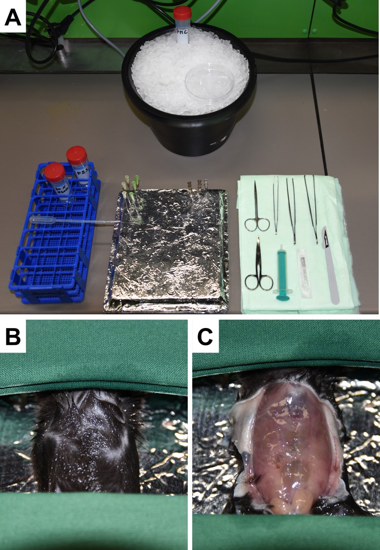 Fig 3