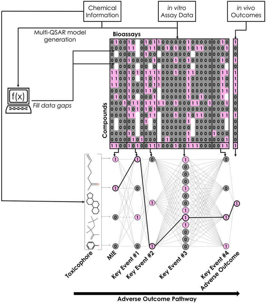 Figure 2.