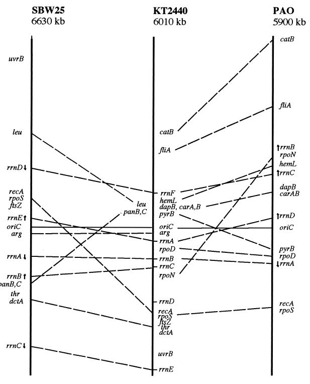 FIG. 8