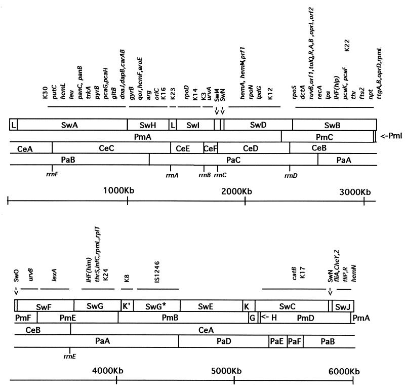 FIG. 7