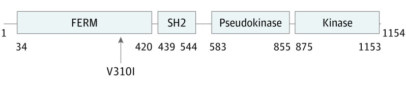 Figure 3. 