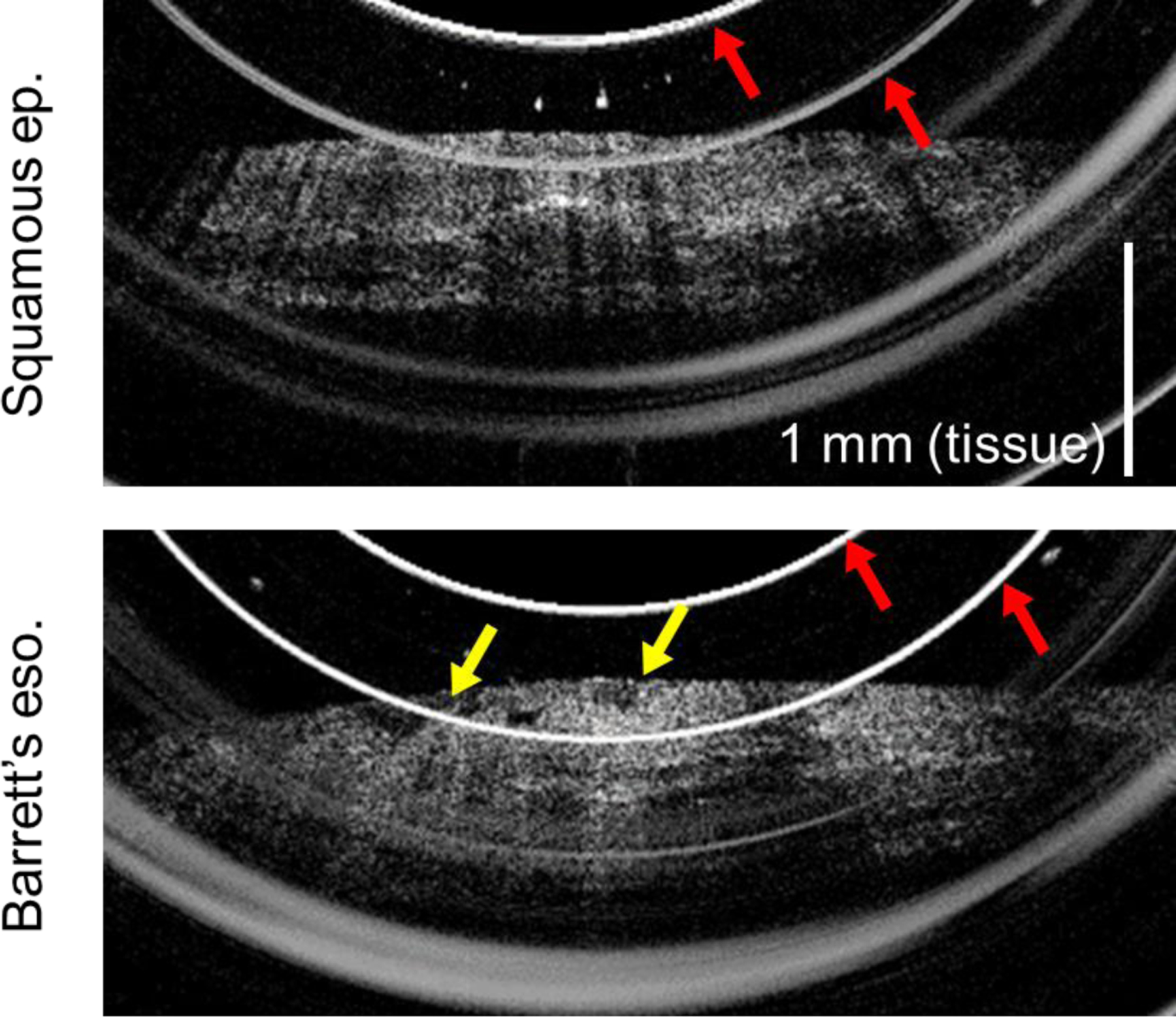 Figure 4: