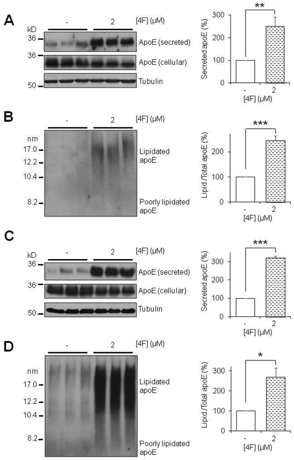 Figure 4: