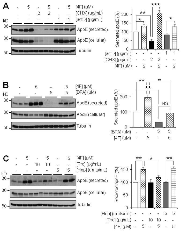 Figure 6: