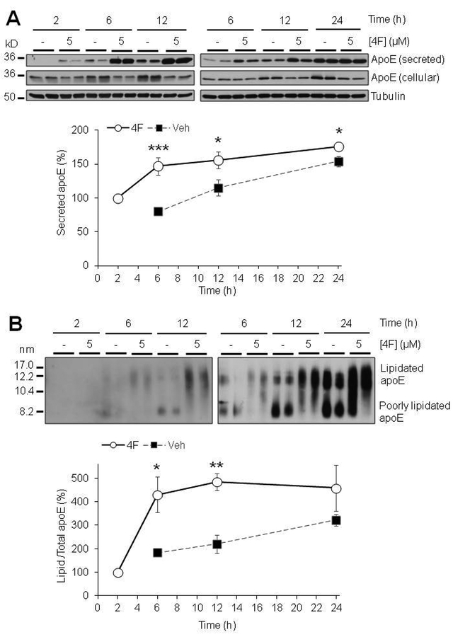 Figure 2: