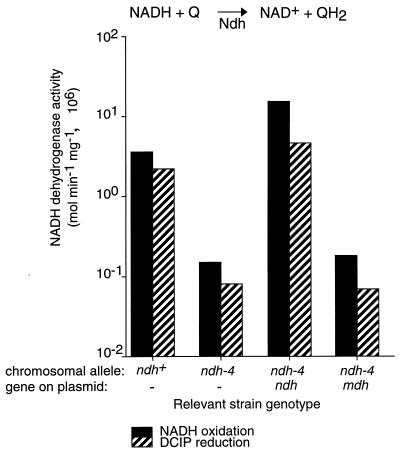 FIG. 3