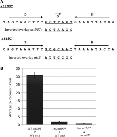 Figure 7.