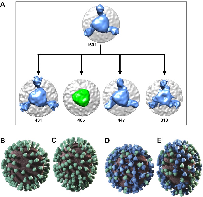 Fig. 6.