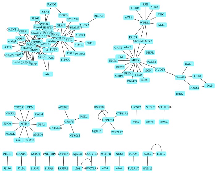 Figure 2