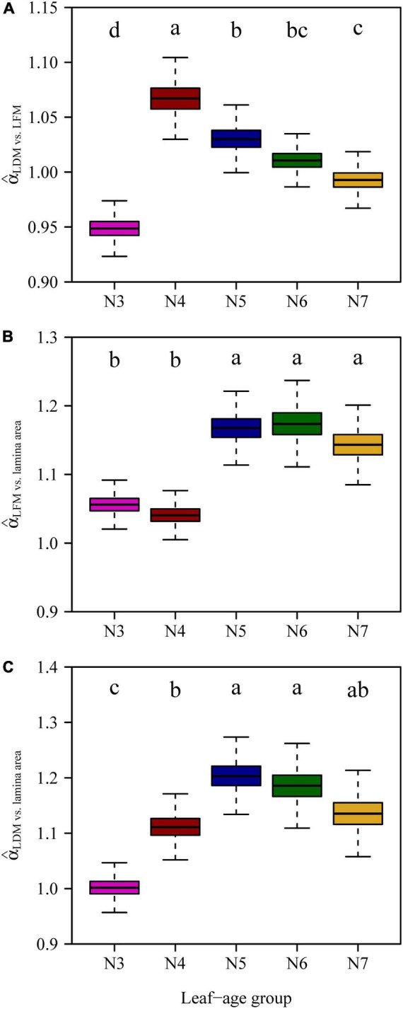 FIGURE 6