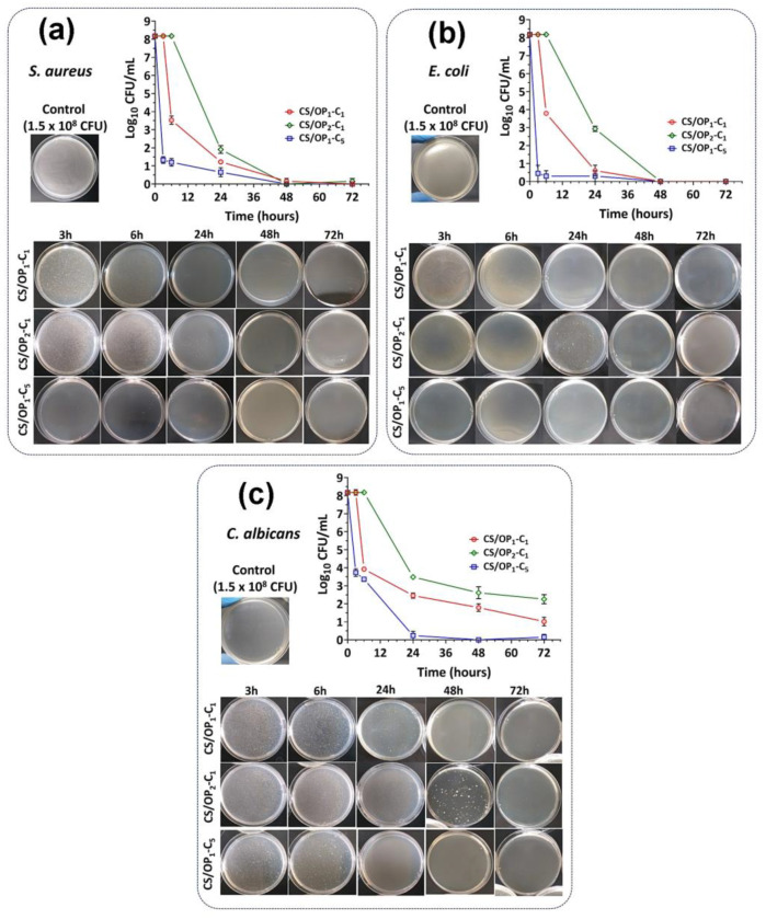 Figure 10