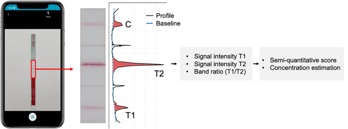 Fig. 2