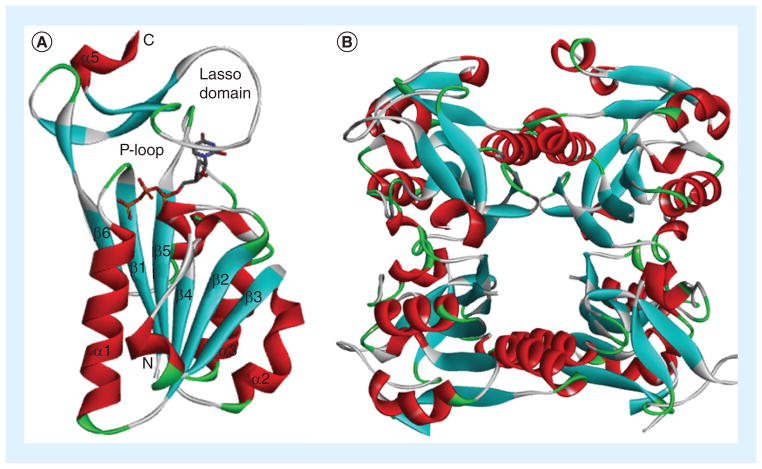 Figure 4