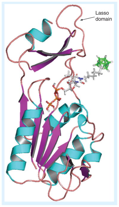 Figure 7