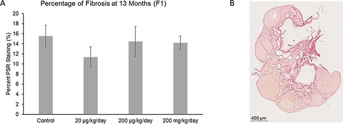 Figure 6: