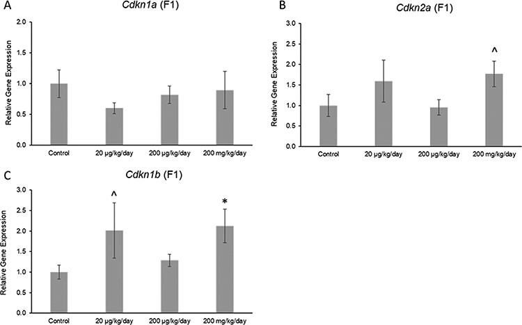 Figure 10: