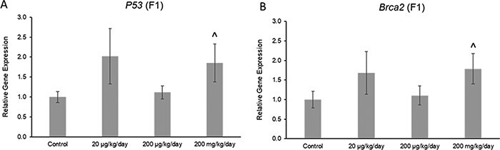 Figure 9: