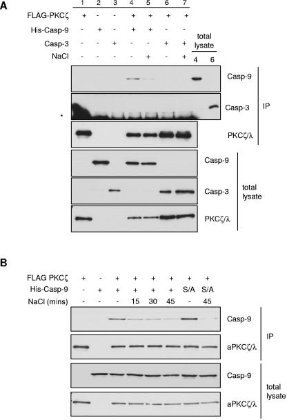 FIG. 10.