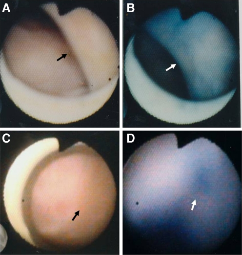 Fig. 9