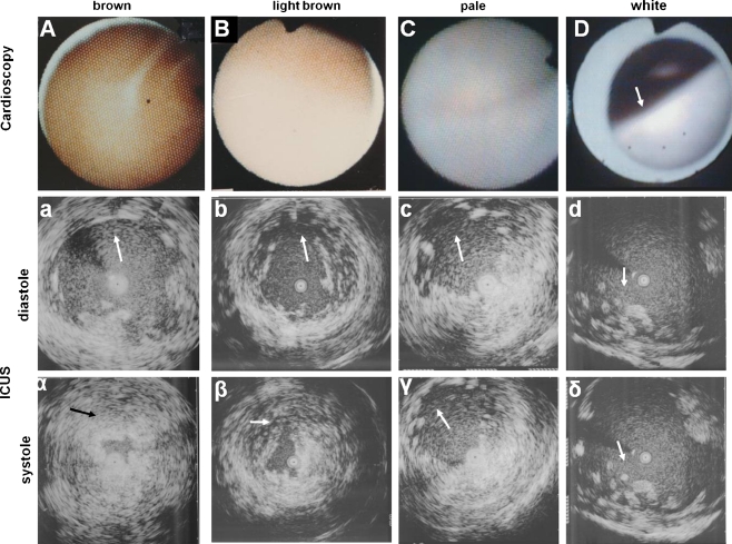 Fig. 2