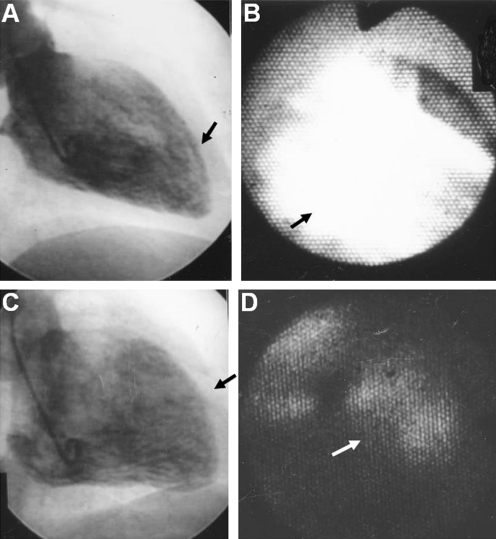 Fig. 10