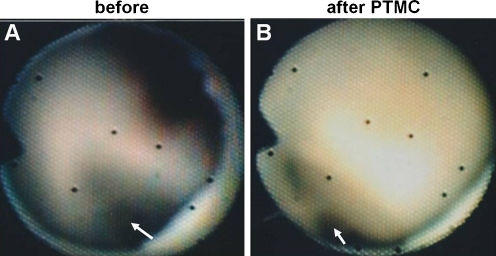 Fig. 8