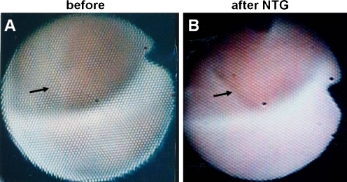 Fig. 7