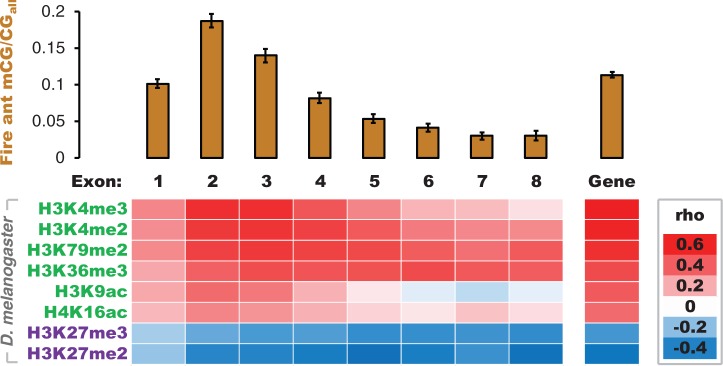 Fig. 1.—