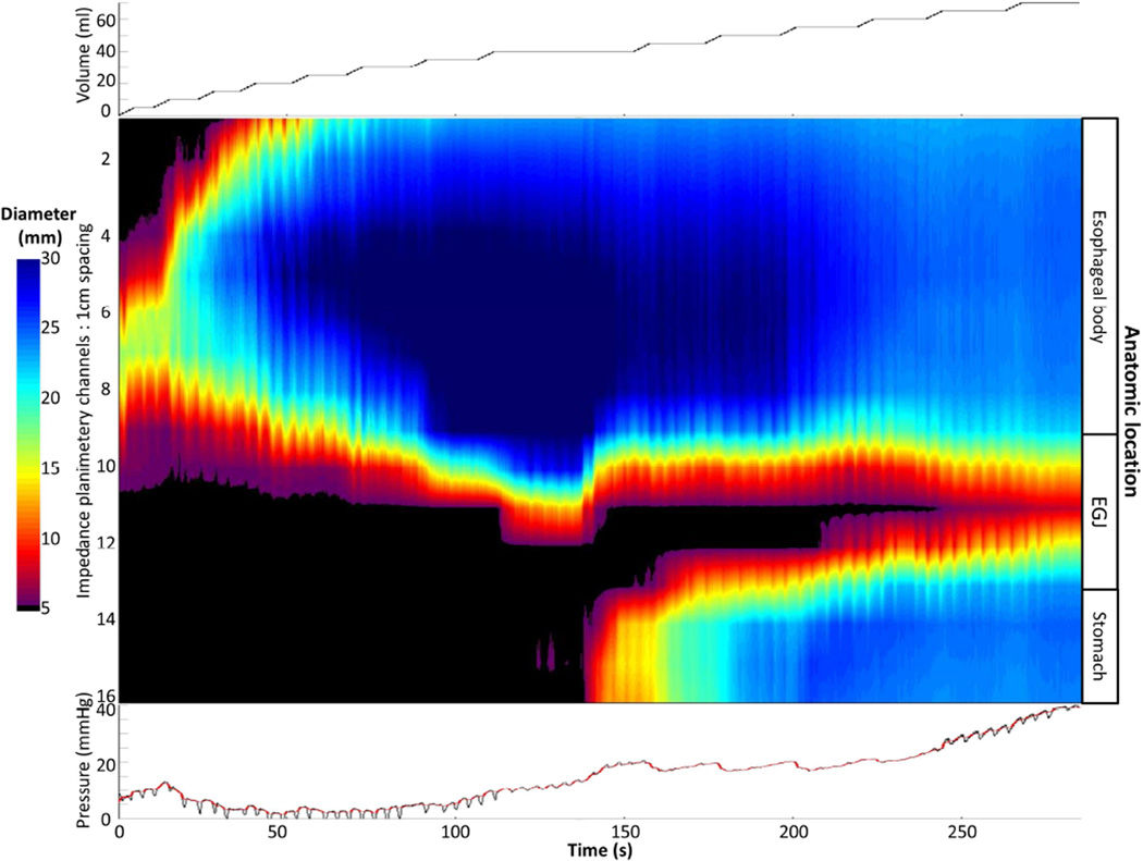 Figure 5