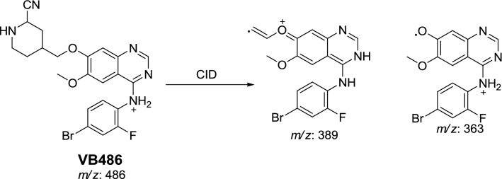 Scheme 8