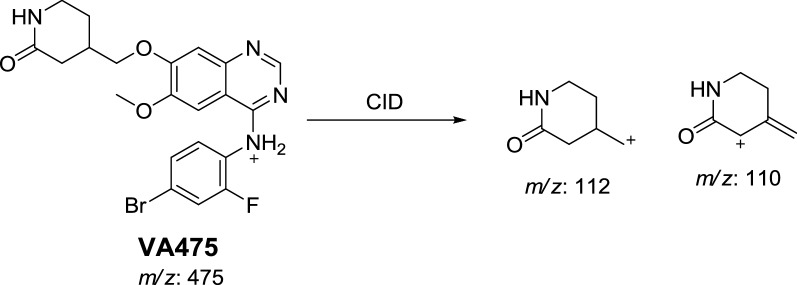 Scheme 2