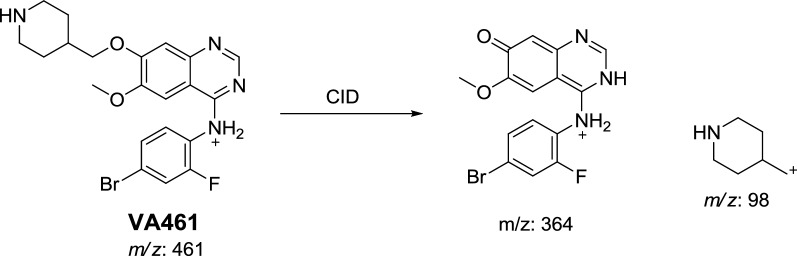 Scheme 3