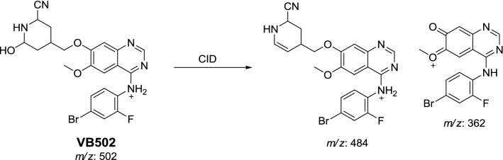 Scheme 11