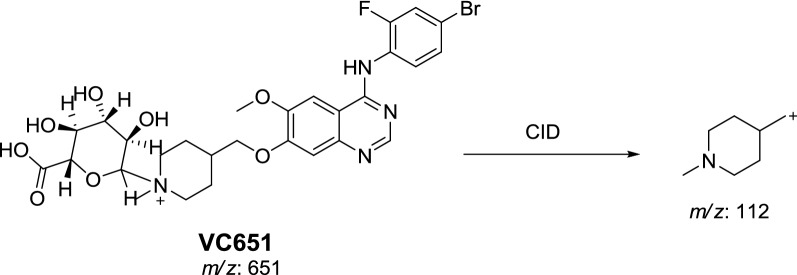 Scheme 13